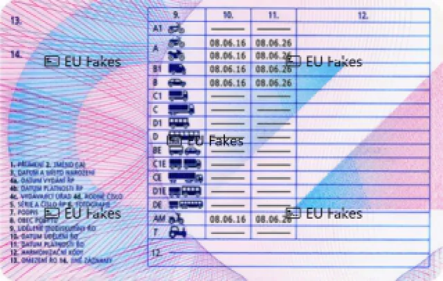 Czeskie Prawo Jazdy Premium