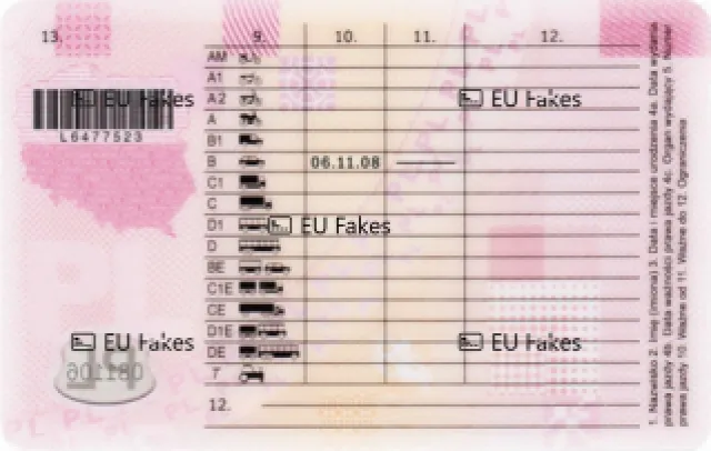 Polskie Prawo Jazdy Premium