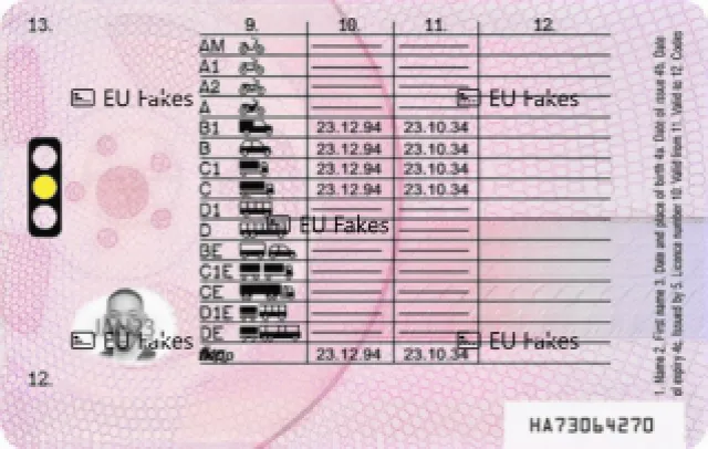 Prawo Jazdy Wielka Brytania Premium