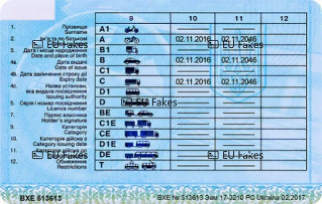 Ukraińskie Prawo Jazdy Premium